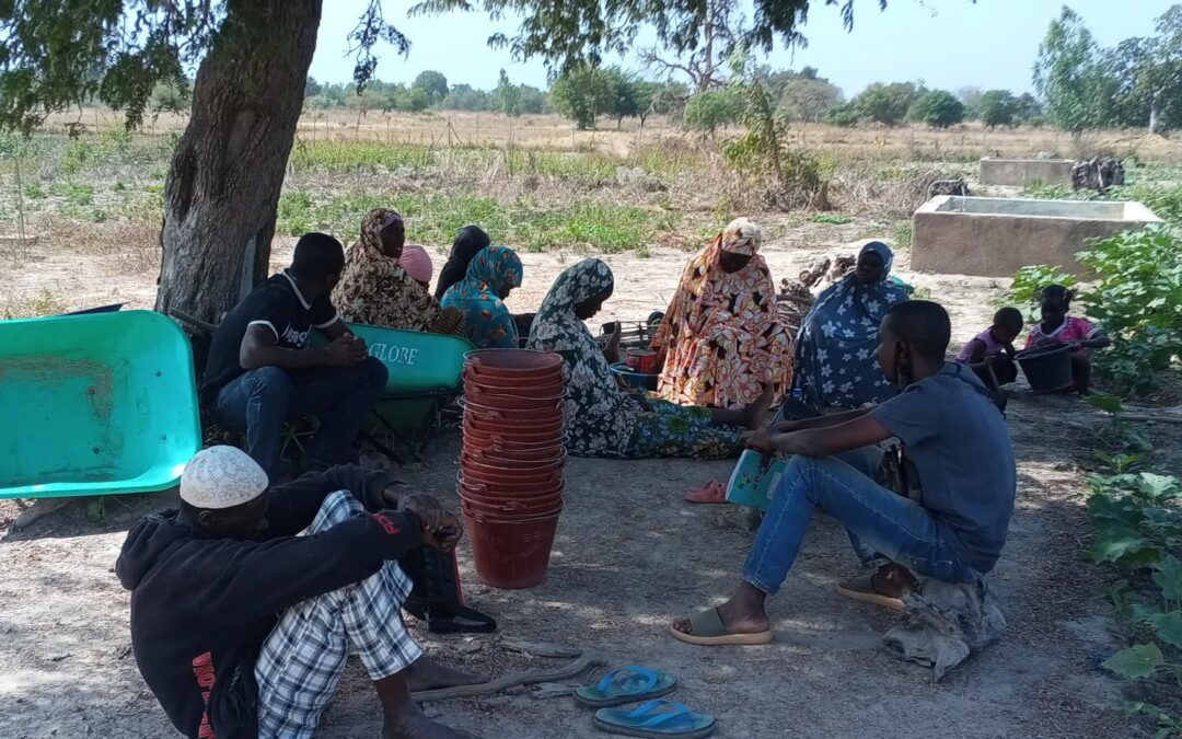 VERS LA PERENNITE : LES ACTEURS LOCAUX PRENNENT LES RENES DE LA PRODUCTION MARAICHERE A MOUHOUN III