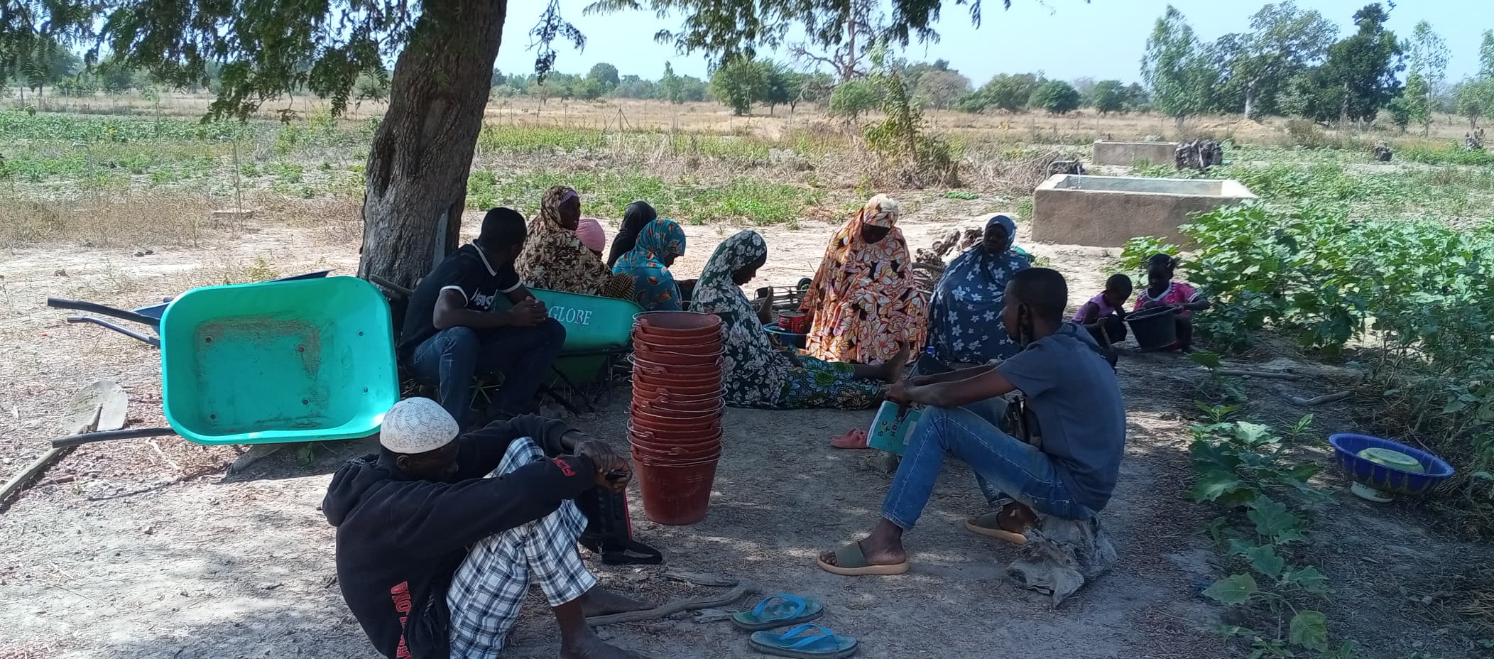 VERS LA PERENNITE : LES ACTEURS LOCAUX PRENNENT LES RENES DE LA PRODUCTION MARAICHERE A MOUHOUN III