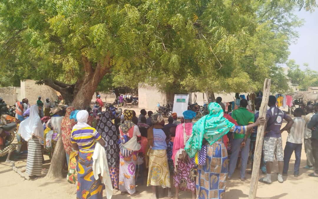 PROJET OKDB-TERROIRS  : UNE BOITE A IMAGES POUR SAUVER NOS MASSIFS FORESTIERS